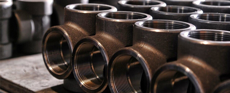 254 Stainless Steel Forged Fittings